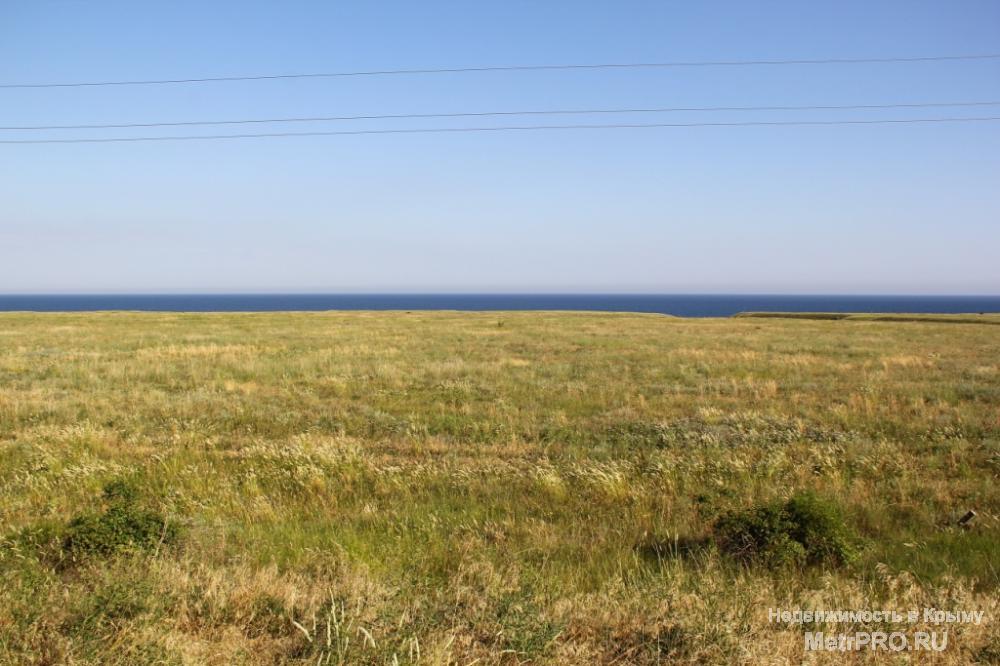 Продается земельный участок размером 1 га под ЛПХ на побережье Черного моря в Западном Крыму. Так как уже с весны... - 2