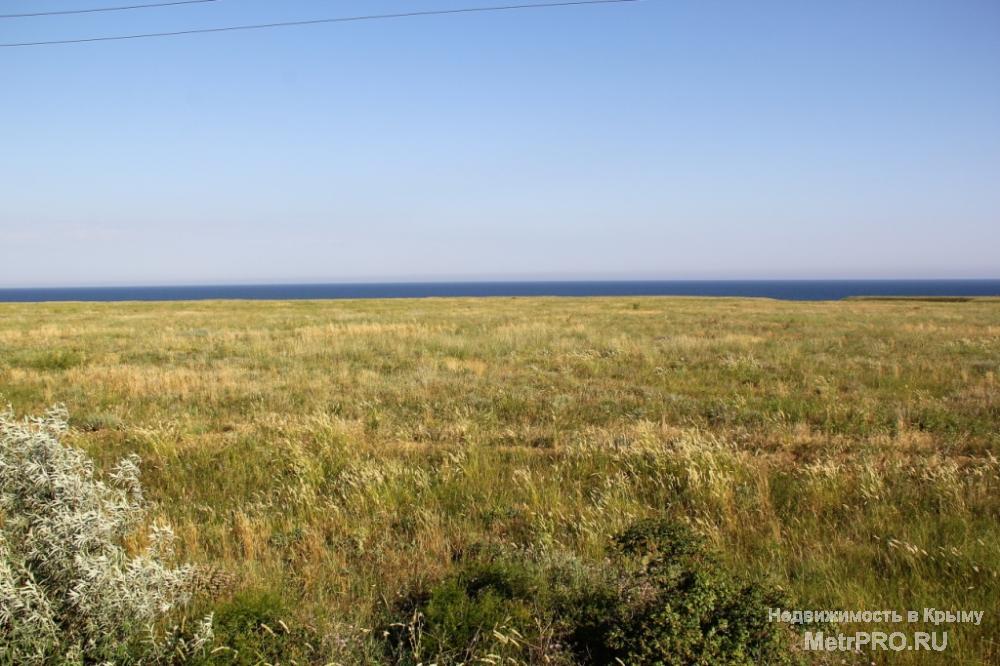 Продается земельный участок размером 1 га под ЛПХ на побережье Черного моря в Западном Крыму. Так как уже с весны... - 4
