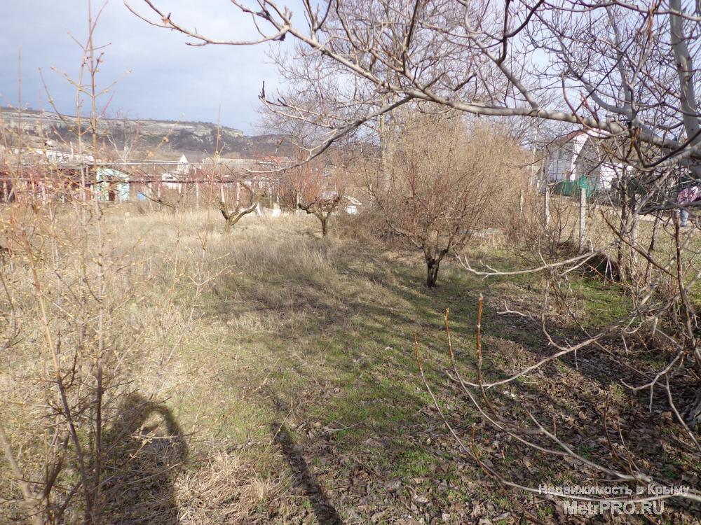 Продается участок ИЖС 10 соток в селе Танковое. На участке молодой персиковый сад. Село газифицировано. Быстрое... - 2