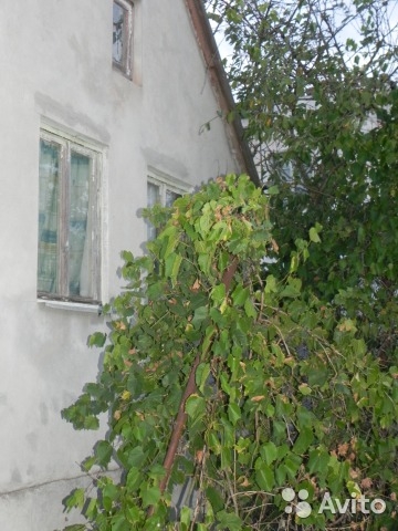 Продажа / Дачи, ЕВПАТОРИЯ, 790 000 р. Продам срочно.Торг. Дом 2 комнаты,коридор,подвал.Большой участок с садом и виноградником.Соседи проживают... - 2