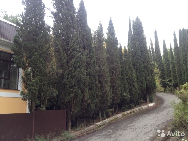 Продажа / Дома, АЛУШТА, 23 298 000 р. Продам частный дом в парковой зоне в центре Алушты, ул. Краснофлотская. До моря 5 мин ходьбы, рядом парк, отель... - 3