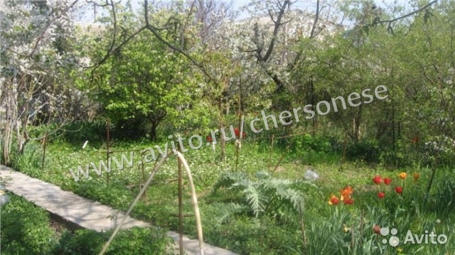 Продам дачу у моря в СТ 'Бриз' на мысе 'Фиолент'. Участок 4 сотки с госактом, каменный дом общей площадью 60 метров с... - 4