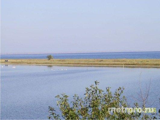 Частный пансионат «Солнечный »  расположен в пригороде Феодосии в курортном поселке Береговое, в 120 метрах от... - 3