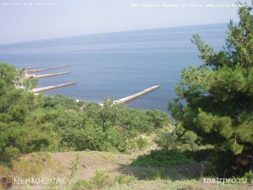 Продажа / Земельные участки, АЛУШТА, Сатера, 1 980 000 $ Продается участок в Алуште площадью 3,3 га. Участок находится в курортной зоне «Сатера» не доезжая поселка... - 4