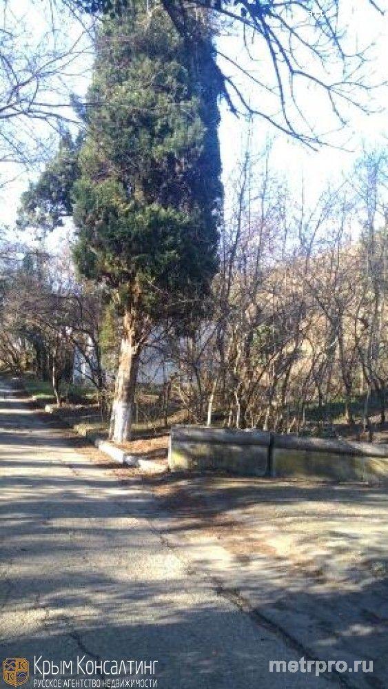 Продам 22 сотки на ЮБК - 3 смежных участка 7+7+8 соток г Алушта, Профессорский Уголок, в 150 метрах пансионат Алушта,... - 2