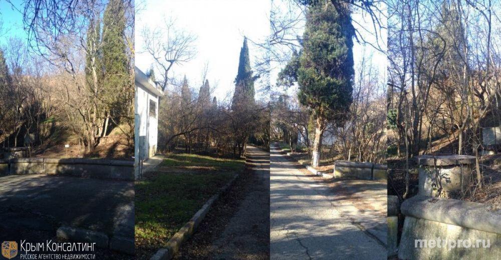 Продам 22 сотки на ЮБК - 3 смежных участка 7+7+8 соток г Алушта, Профессорский Уголок, в 150 метрах пансионат Алушта,... - 6