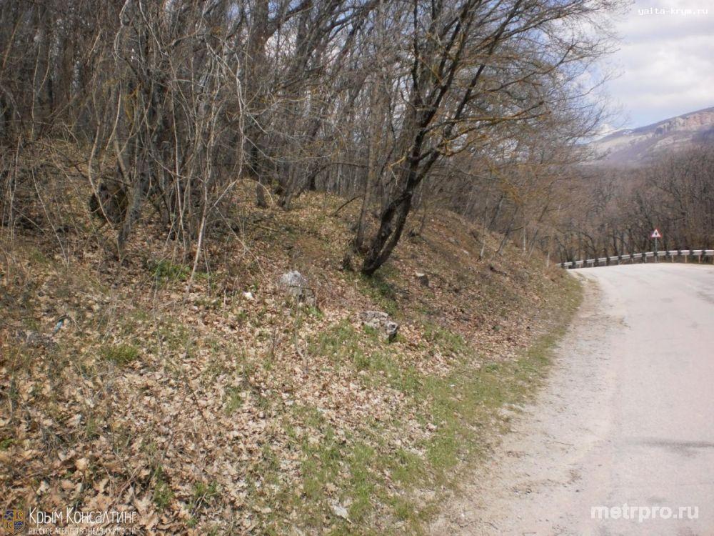 Продажа / Земельные участки, АЛУШТА, 150 000 $ Продаются 2 участка по 60 соток (1,2 Га) в газифицированном с. Лаванда (ЮБК над Алуштой). Участки находятся в 350 м.... - 5