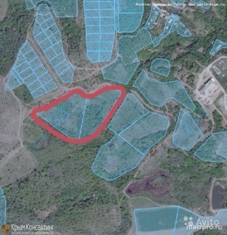 Продажа / Земельные участки, АЛУШТА, 147 000 $ Продается участок у моря, в Крыму, Алуштинский район, село Лучистое. Земли сельхозназначения, есть два участка - 1,18... - 1