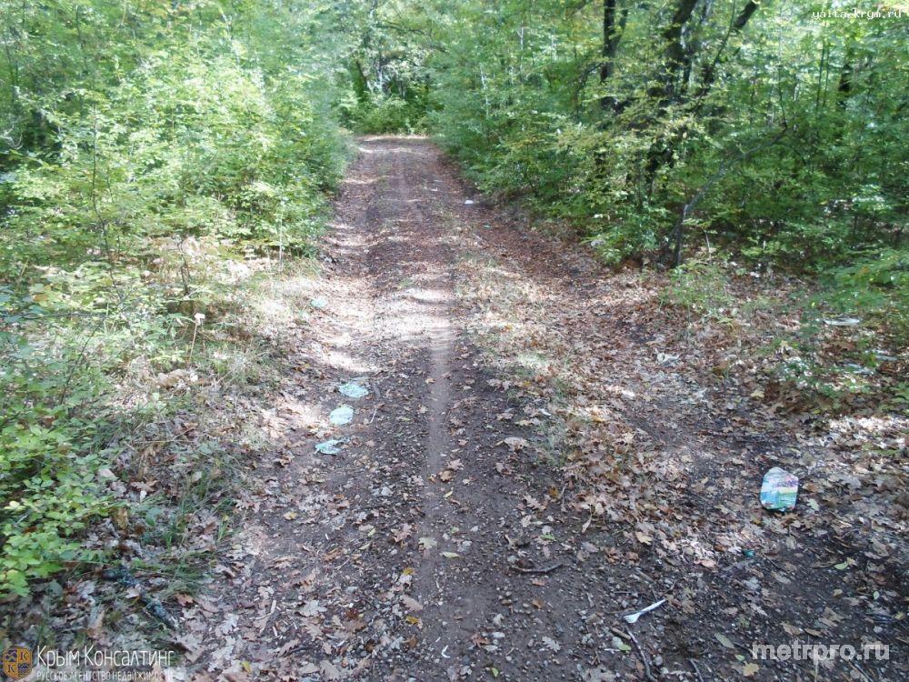 Продажа / Земельные участки, АЛУШТА, 25 000 $ 10 соток в п. Лаванда над городом Алушта ИЖС госакт торг. - 3