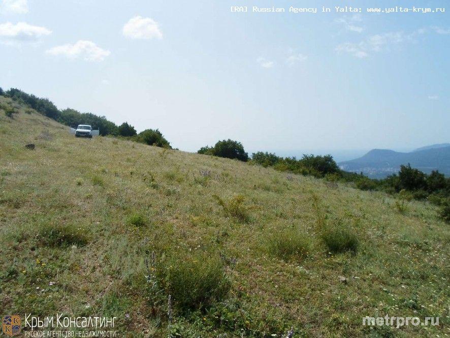 Предлагаем купить участок 1,68 Га в Лучистом (Алушта) Продаются три смежных участка 60-60-48 соток) с. Лучистое,... - 2
