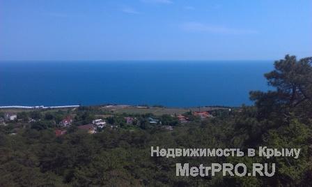 Продажа / Земельные участки, ЯЛТА, 17 000 $ 2 смежных земельных участка 72сотки (36+36) в Гурзуфе (Ай-Даниль). Гос акт. Возможно продажа участков по отдельности....