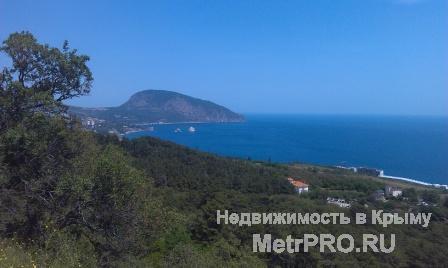 Продажа / Земельные участки, ЯЛТА, 17 000 $ 2 смежных земельных участка 72сотки (36+36) в Гурзуфе (Ай-Даниль). Гос акт. Возможно продажа участков по отдельности.... - 1