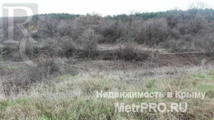 Продажа / Земельные участки, СЕВАСТОПОЛЬ, 700 000 р. Продаётся участок 12 сот в Севастополе с.Поворотное (12 соток, 700 000 руб.) Продаётся участок 12 соток в... - 2