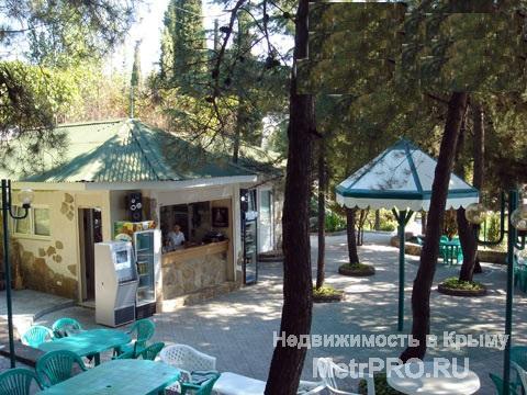 Продам уникальный дом в Крыму на ЮБК, на самом берегу под огромными соснами. В поселке Малореченское. Дом небольшой...