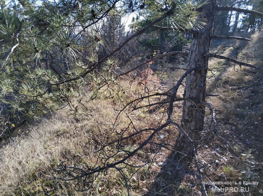 Продажа / Земельные участки, АЛУШТА, 1 650 000 р. Продам земельный участок 6 сот. для индивидуального жилищного строительства (ИЖС) 1200 м. от моря, г. Алушта, п.... - 3