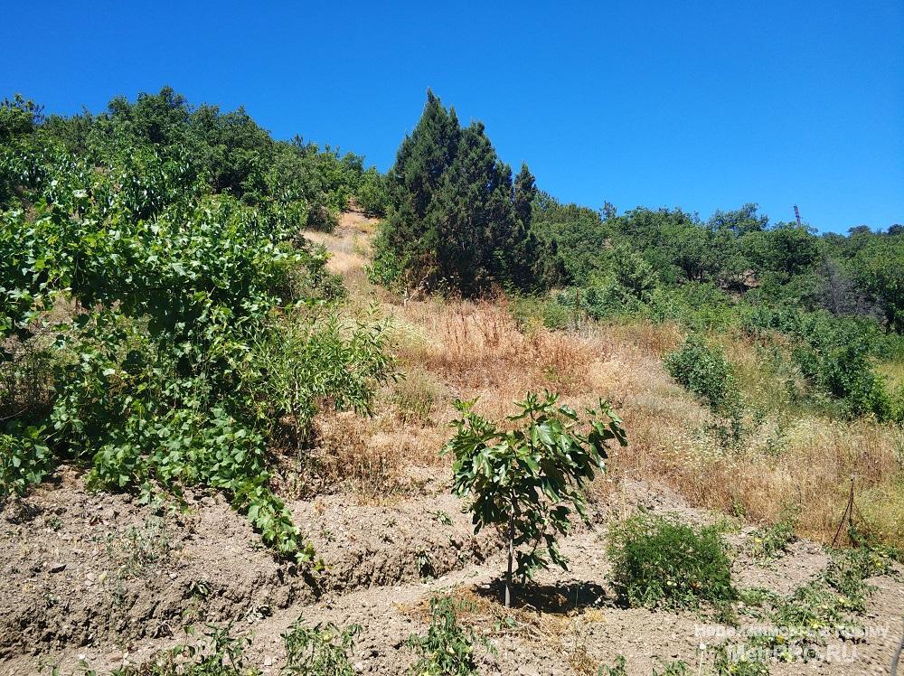 Продам земельный участок 5 сот. ИЖС г. Алушта, п. Семидворье, 500 м от моря, 5-7 мин ходьбы по ровной... - 2