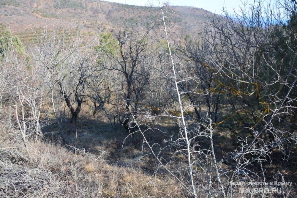 Продажа / Земельные участки, АЛУШТА, 1 350 000 р. КУПИТЬ УЧАСТОК В АЛУШТЕ ВЫГОДНО и без РИСКА! Продается земельный участок 6 сот. г. Алушта, п. Семидворье, 800... - 2