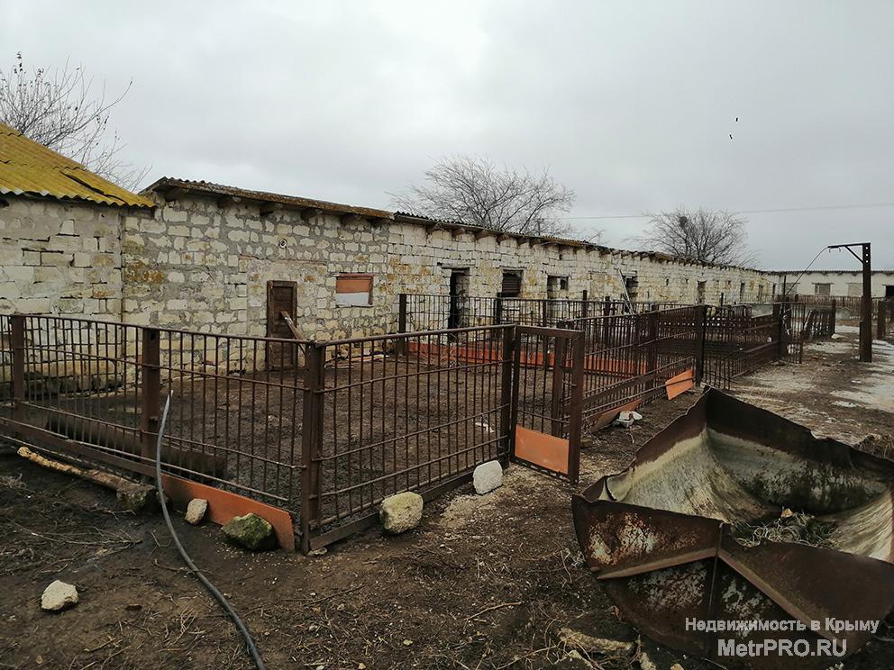 Продам свиноферму в Керчи  Предлагается к продаже комплекс для организации животноводческой фермы (без животных) в... - 3