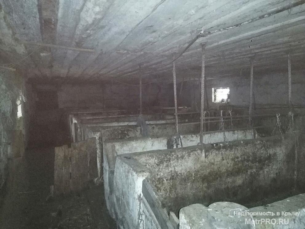 Продам свиноферму в Керчи  Предлагается к продаже комплекс для организации животноводческой фермы (без животных) в... - 5