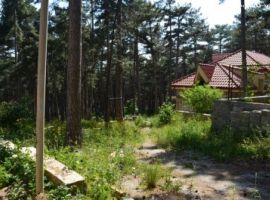 Продается ровный земельный участок в Ялте. Площадь участка 4 сотки...