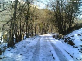 Продается земельный участок площадью 9 соток (госакт), участок...