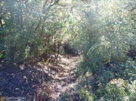 Продаётся участок 8 соток в г Алушта, район Мирный (окраина...