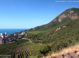 Земельный участок 25 соток (гос. акт.) в п. Лазурное, г. Алушта....