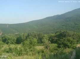 Продаются три смежных участка г. Алушта с. Розовое заповедная зона!...