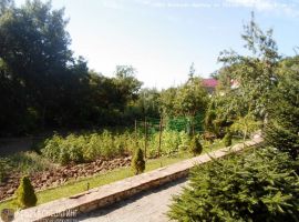 Алушта, продаются два смежных участка в с. Лазурное по восемь соток...