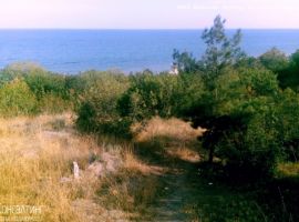 Алушта, ЮБК Крым: предлагаем купить участок 2 гектара в городе...