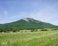 Оформление участков в Крыму – теперь станет проще